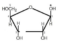 Рибоза функциональная группа. Фуранозная форма Глюкозы. Гидроксипентаналь. Сорбоза в пиранозной.